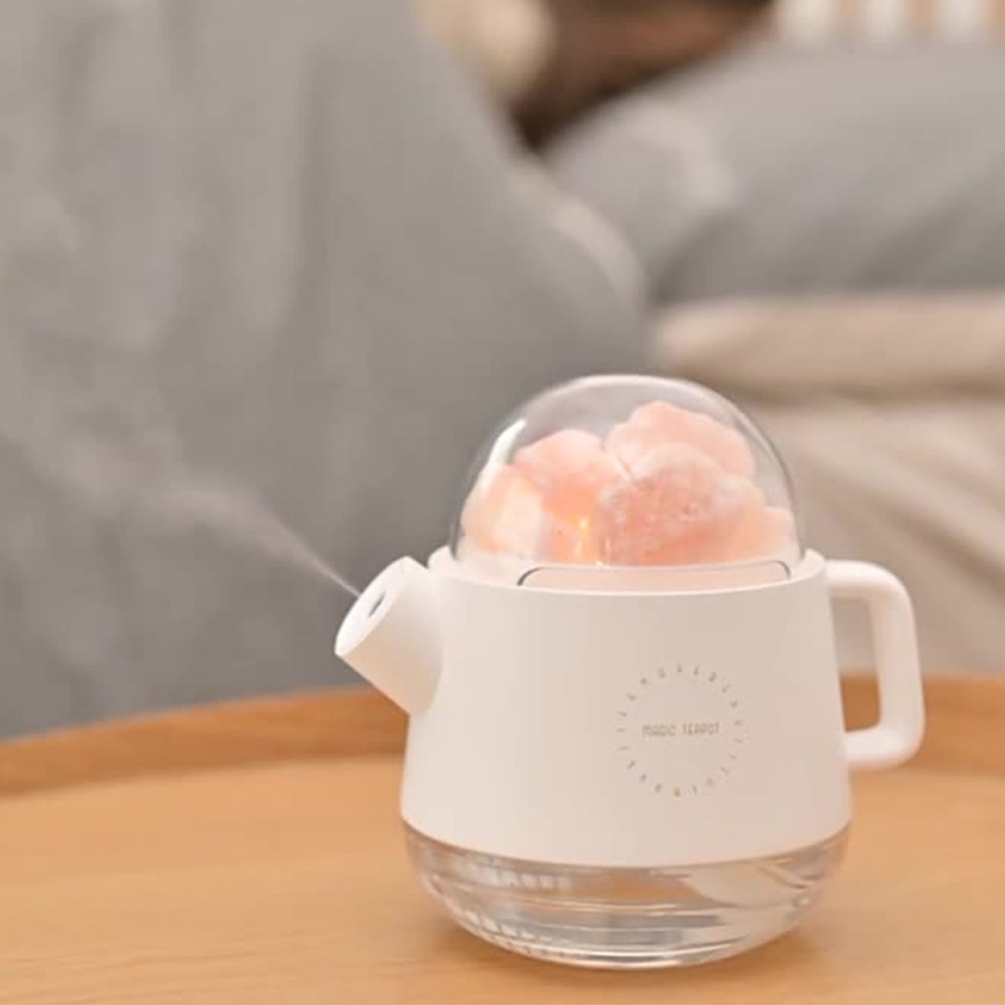 Teapot Humidifier